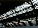 BALD03052301.jpg