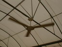 BALD03060401.jpg