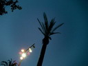 raval (ahir nit) : BALD03071101.jpg