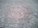 BALD03071401.jpg