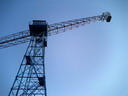 BALD03072201.jpg