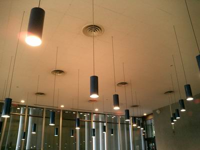 BALD03072501.jpg