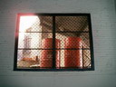 BALD03091003.jpg