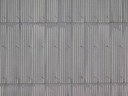 BALD03091602.jpg