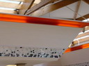 BALD03100601.jpg