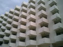 BALD03102702.jpg