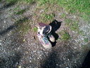 BALD03110306.jpg