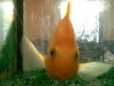 BALD03110403.jpg