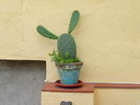 BALD03110601.jpg