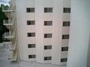 BALD03111201.jpg