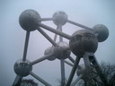 BALD03112002.jpg
