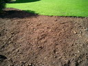 BALD03112701.jpg