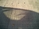 BALD03112702.jpg