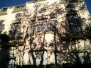 BALD03112703.jpg
