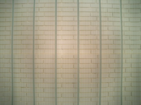 BALD03122201.jpg