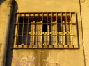 BALD04010501.jpg
