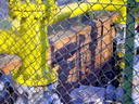 BALD04012701.jpg