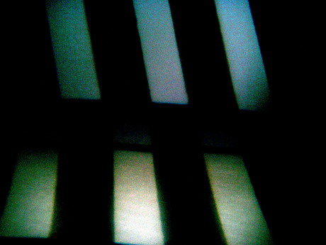 BALD04013102.jpg