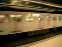 BALD04022502.jpg