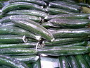 BALD04030901.jpg