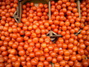 BALD04030903.jpg