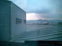 BALD04042201.jpg