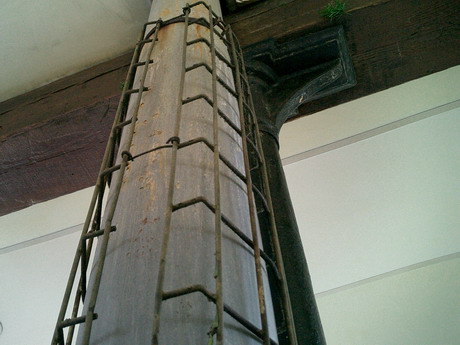 BALD04062901.jpg