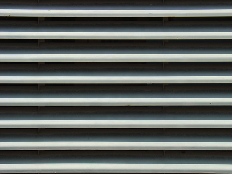 BALD04071701.JPG