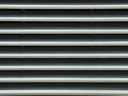 BALD04071701.JPG
