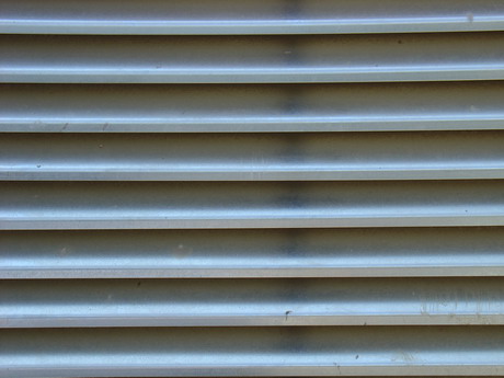 BALD04071702.JPG
