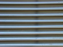 BALD04071702.JPG