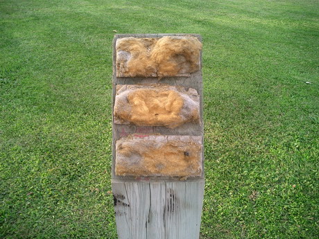 BALD04080501.jpg