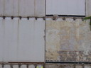 BALD04082901.jpg