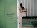 BALD04092101.jpg
