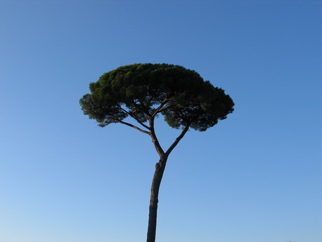 BALD04100201.jpg