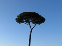 BALD04100201.jpg