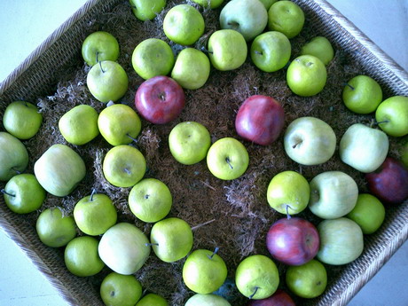 BALD04102501.jpg