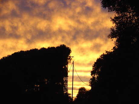 BALD04110101.jpg