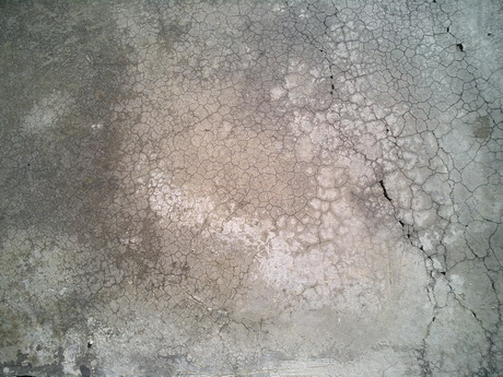 BALD04110801.jpg