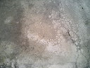 BALD04110801.jpg