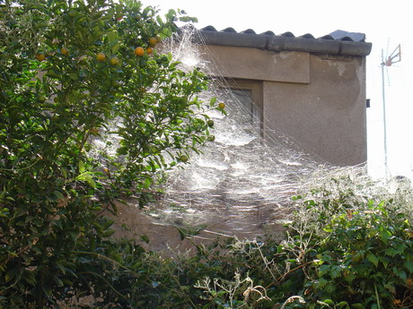 BALD04111501.jpg