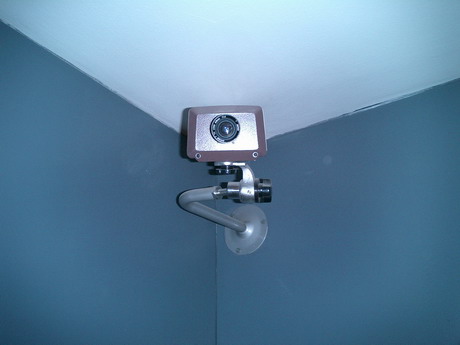 BALD04111801.jpg