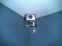 BALD04111801.jpg