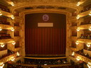 BALD04121901.jpg