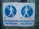BALD04122701.jpg