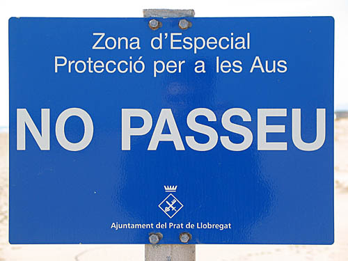 BALDIRI05012302.jpg