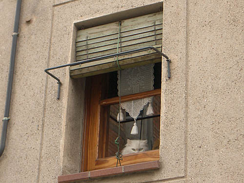 BALDIRI05040501.jpg