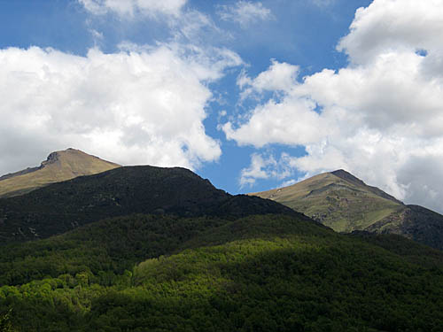 BALDIRI05051801.jpg