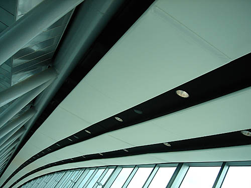 BALDIRI05080201.jpg