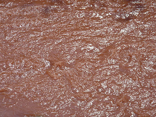 BALDIRI05081801.jpg